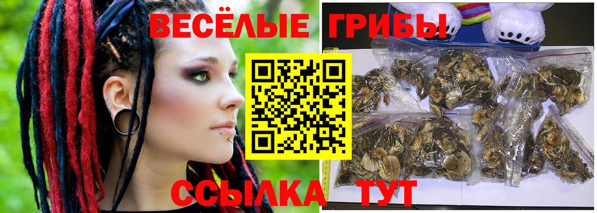 Королёв  Галлюциногенные грибы Psilocybine cubensis  Вход с VPN 